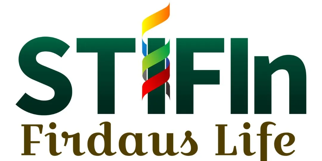 stifinfirdaus
